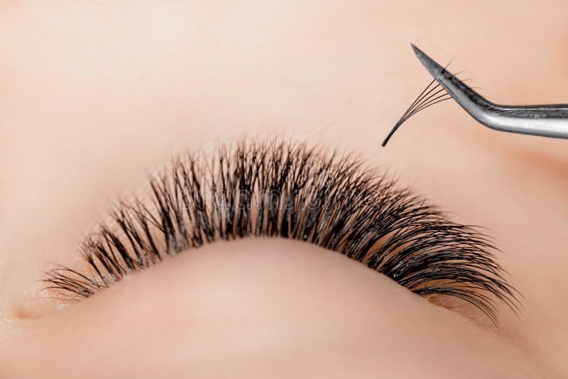 5d Volume Eyelash Stock Photos - Free ...