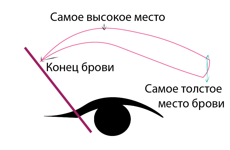 Как нарисовать лицо человека: рисуем ...