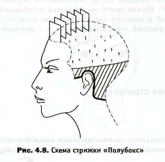 Модная мужская стрижка полубокс 2024: особенности выполнения ...