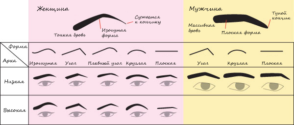 Мужские брови: коррекция и уход, инструкция бровисту • Журнал ...