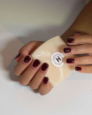 Burgundy Nails Colors | Blush