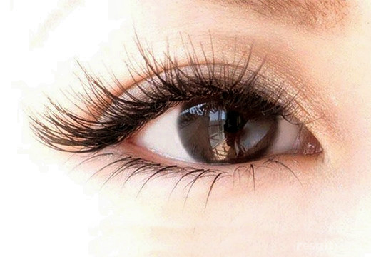 Lashfromlash