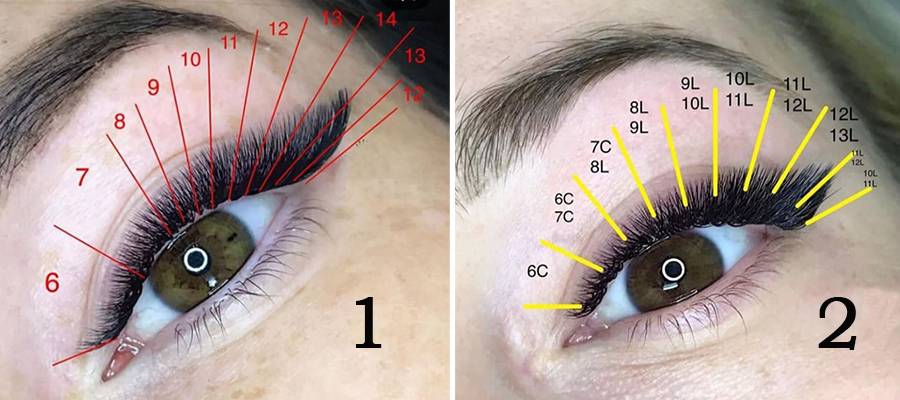 Longest eyelashes applied by the team ...