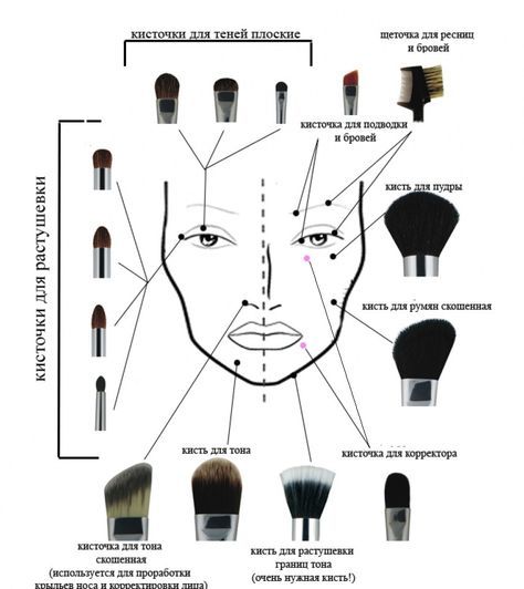 Набор кистей для макияжа: что входит в базовый набор