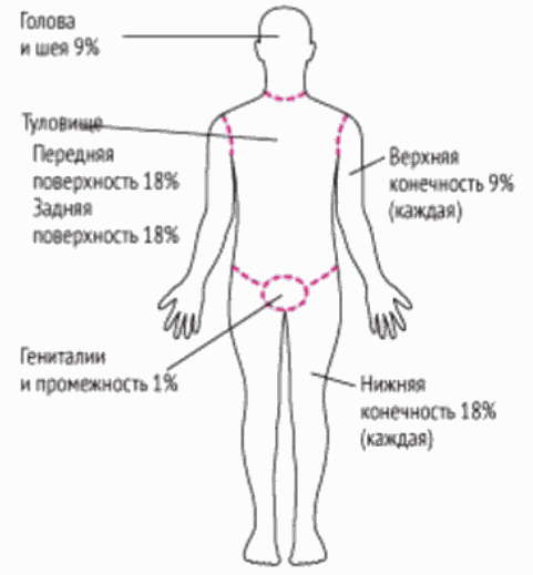 Укушенные раны, раны от укусов - Клиника 29