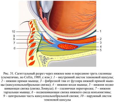 Эстетическая ботулинотерапия