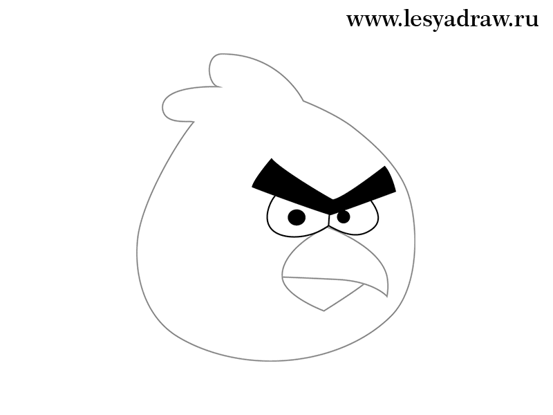 Angry birds ...