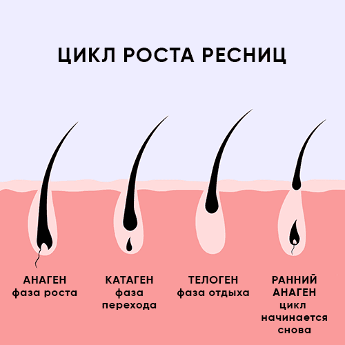 Art_Queen_Look - 😱А Вы знали, что ...