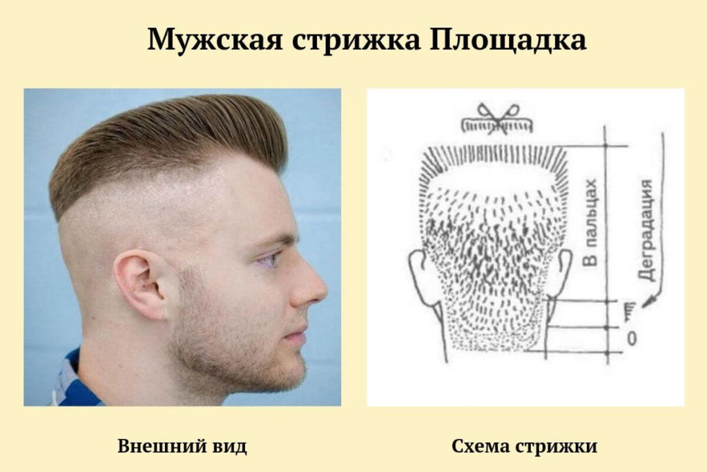 Мужские стрижки, прически 2024-2025: виды укладок, названия