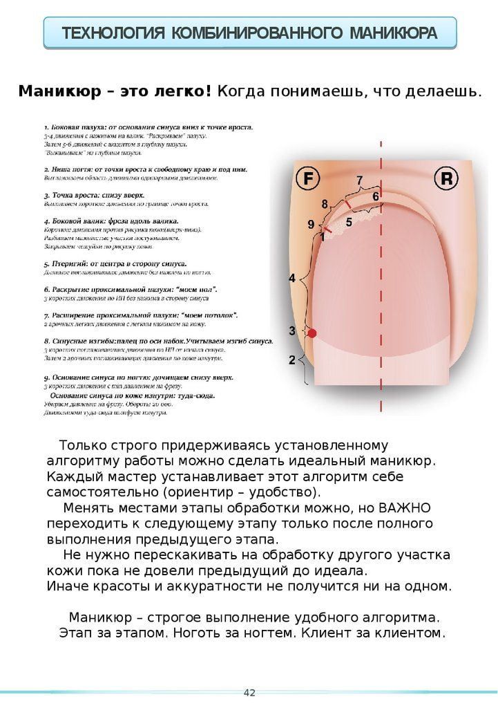 Маникюр Обучение Сергеевка | Строение ...