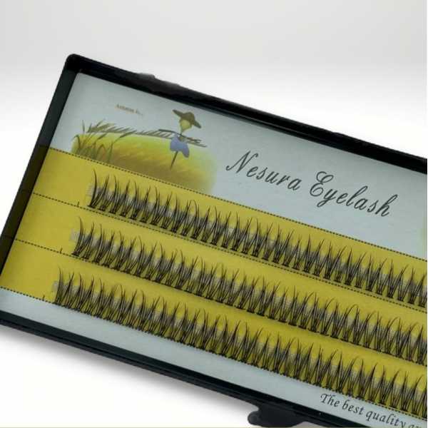 House of Lashes Lash Boudoir ...