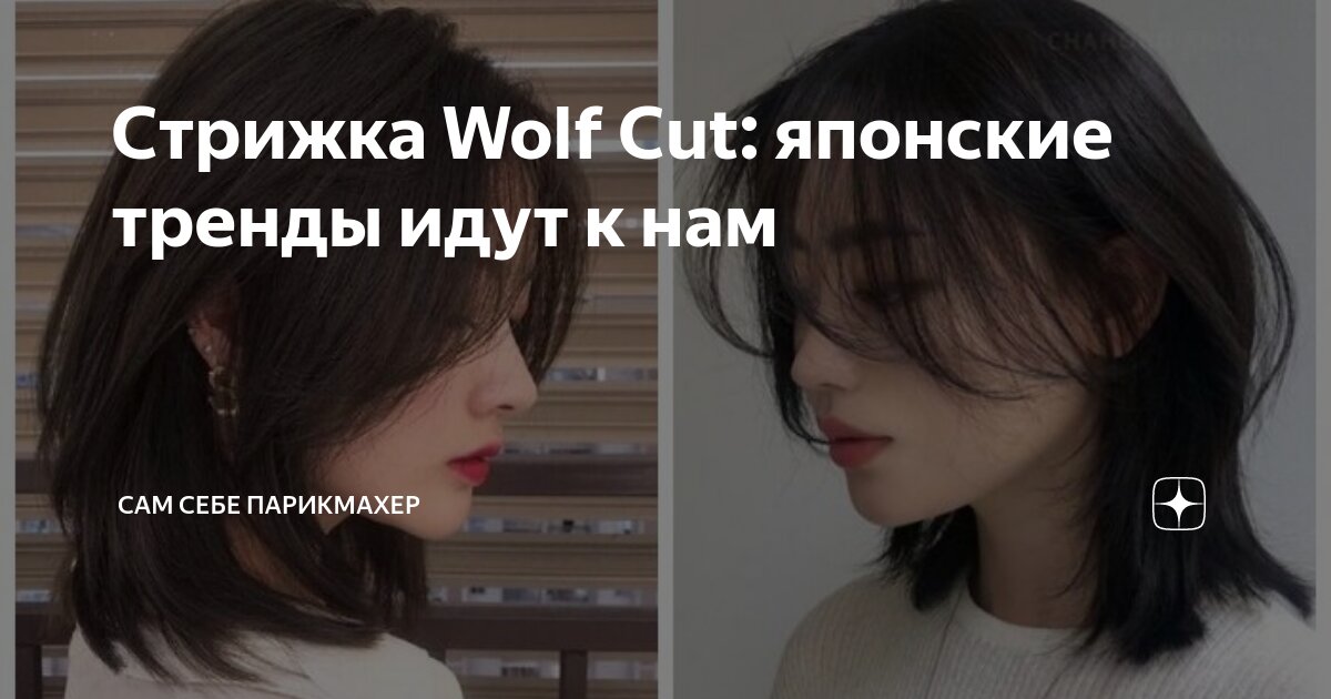 WT-Парикмахер Wolf Cut - разбираемся в трендах