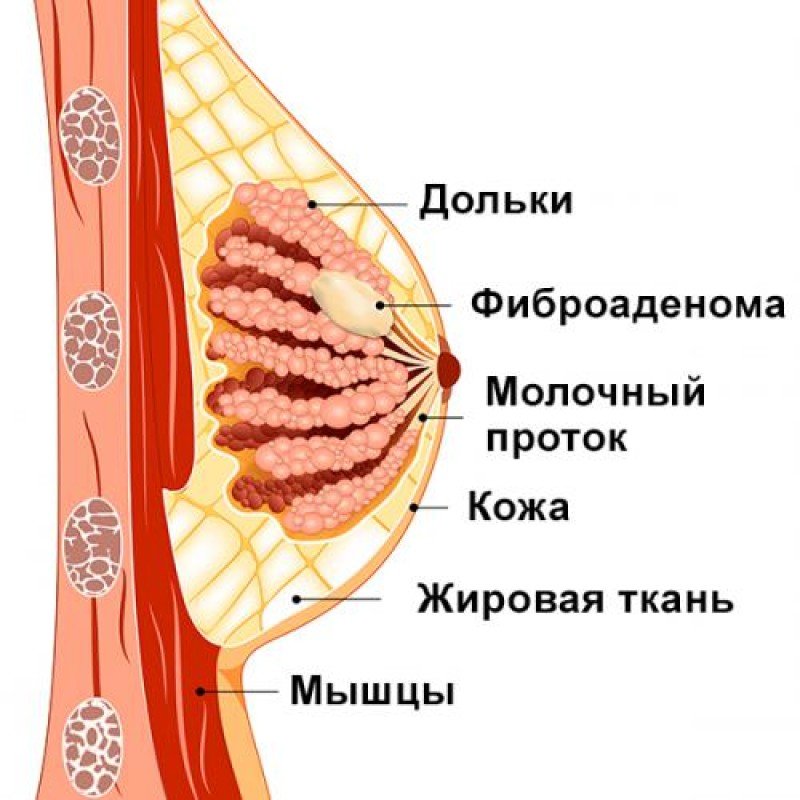 Распространенность нейротравм и их ...