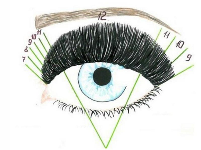 Подбор формы ресниц для наращивания под ...