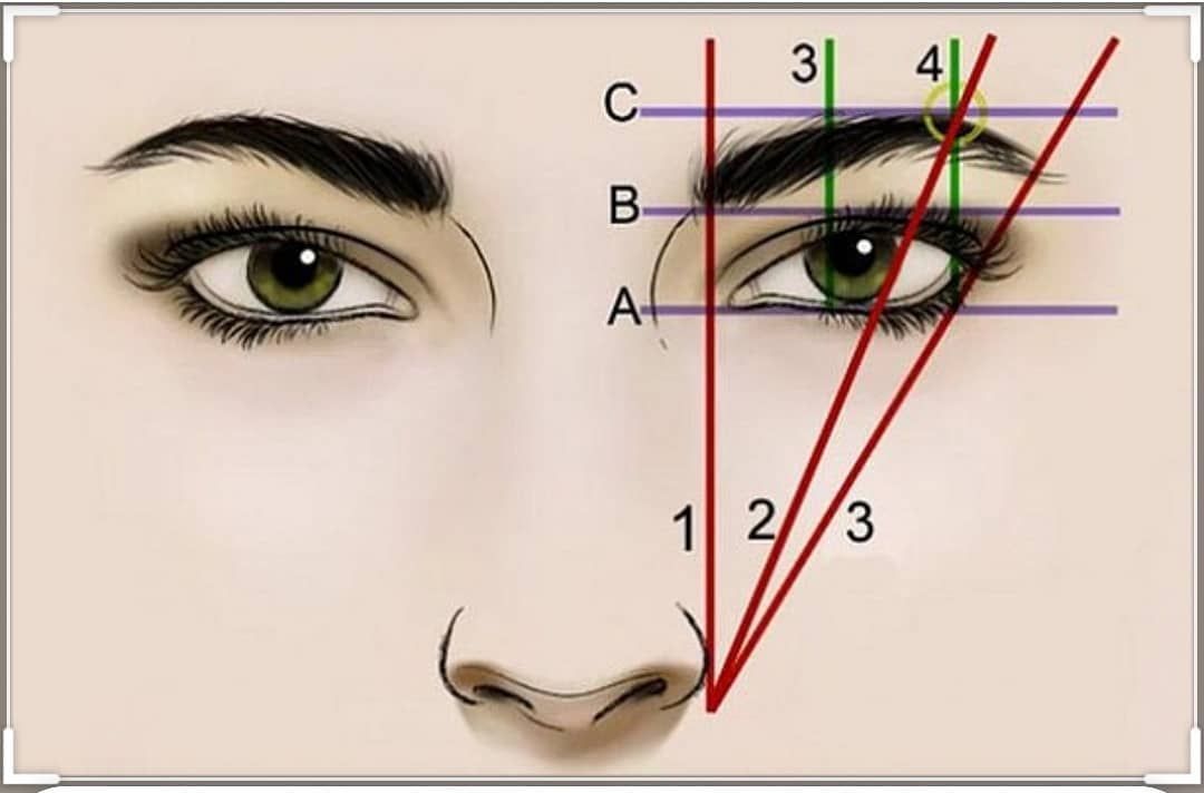 Правильная форма бровей: как придать форму и примеры с фото ...