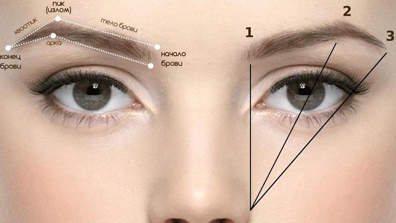 👌Эскиз бровей ниткой💜eyebrow sketch by ...