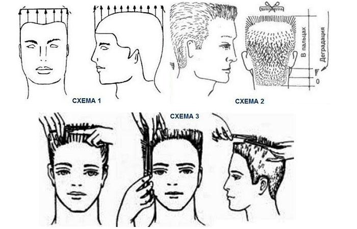 Мужские стрижки под машинку на дому: инструкция и виды ...