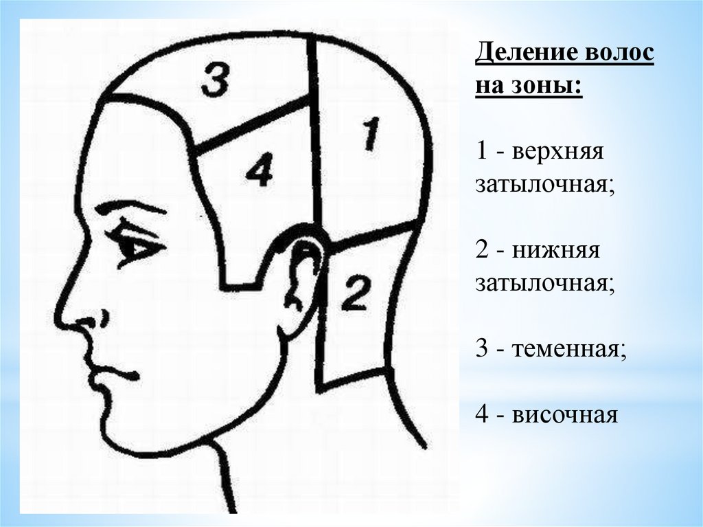 Учимся стричь сами | Записи в рубрике Учимся стричь сами ...