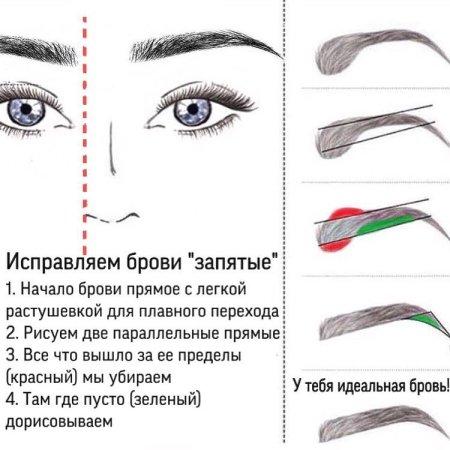 Как отрисовать эскиз бровей - разметка по точкам