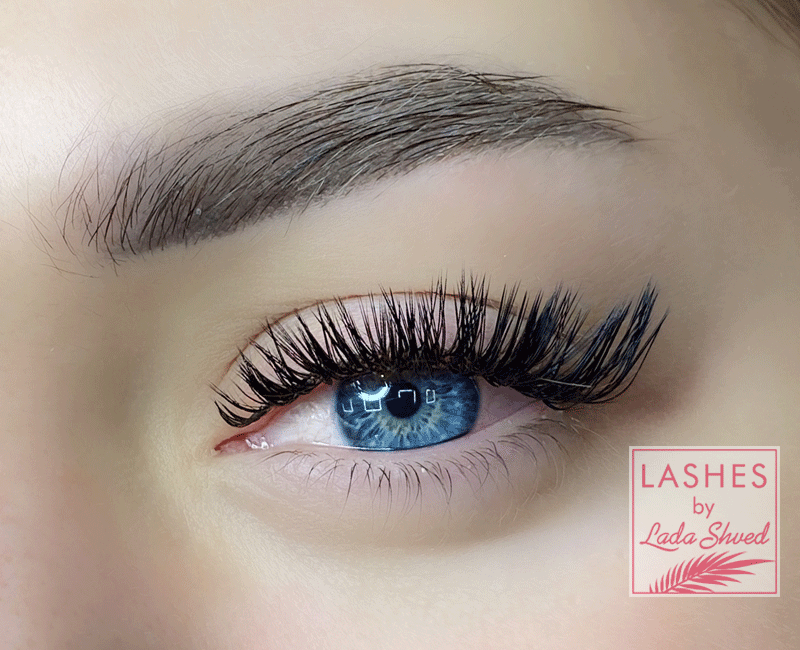 Luxury Lashes Ресницы для наращивания микс изгиб С 0.12 5-12 ...