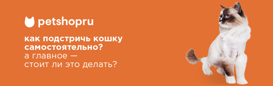 Как подстричь кошку в домашних условиях