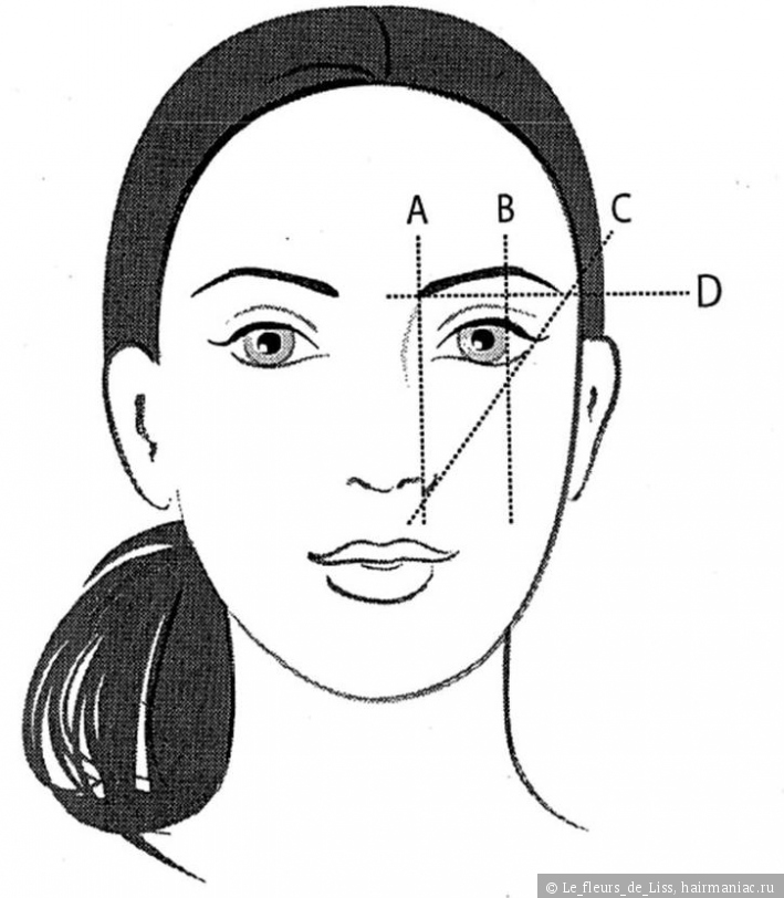 Архитектура бровей: что это такое, техника процедуры ...