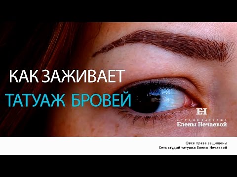 Перманентный татуаж губ (заживление по дням) и верхних век ...