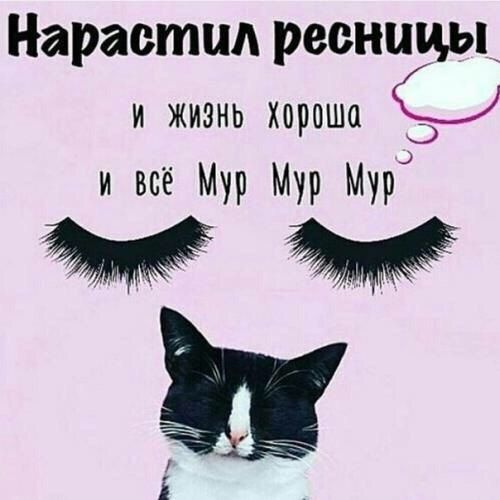 НАРАЩИВАНИЕ РЕСНИЦ В МОСКВЕ (@bem.k555) • Instagram photos ...