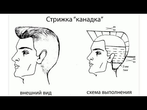 Стрижка канадка, мужская стрижка, how to do great cut 3 ...