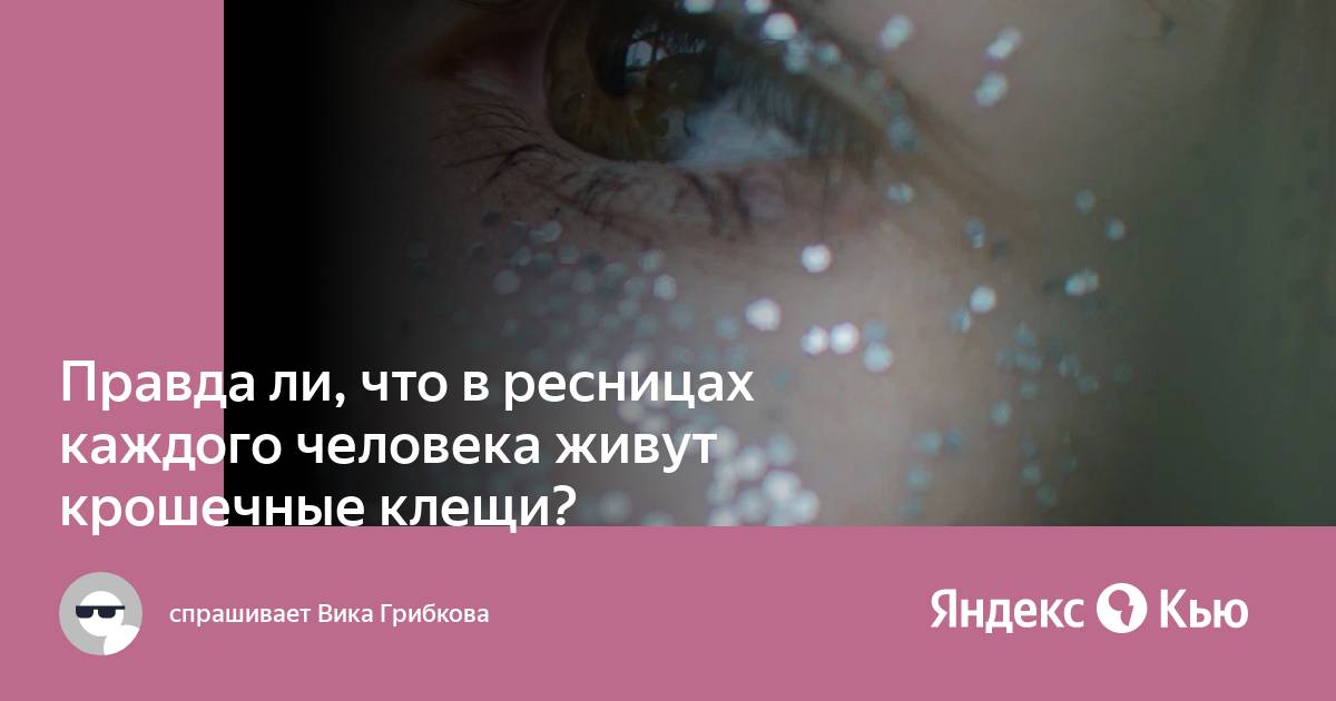 Демодекоз в деталях: симптомы, причины, методы лечения - FitoBlog