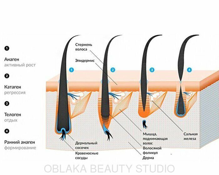 Сыворотка для роста ресниц и бровей sadoer eyelash nourishing ...