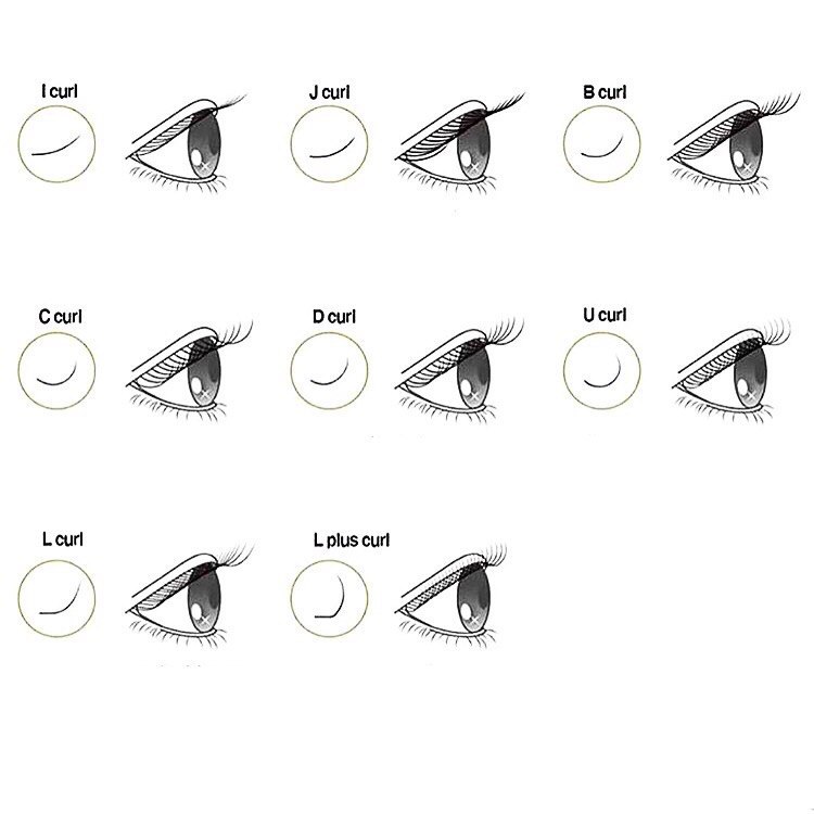 Изгибы ресниц: Формы глаз и подходящий изгиб! | OkoLashes | Дзен