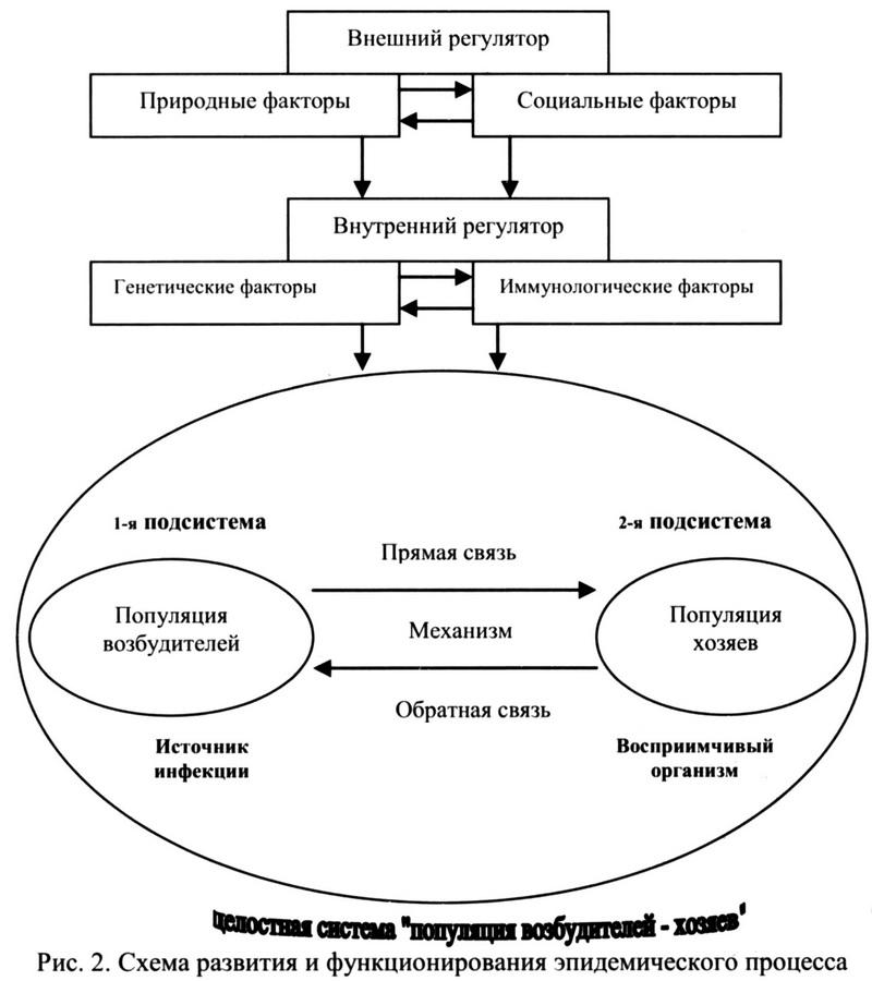 Оглавление