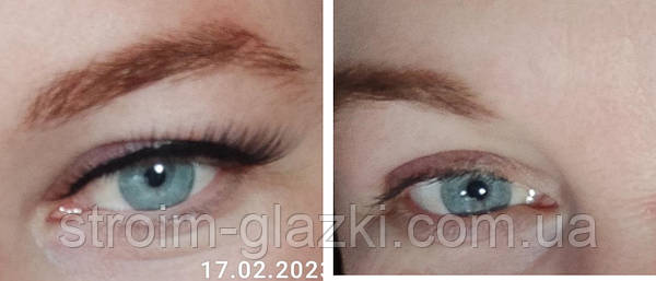 Perfect Lashes Studio