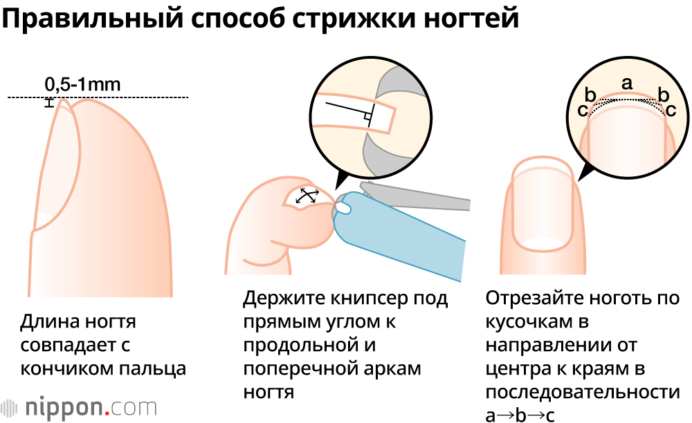 Ножницы для педикюра Mertz элитные / для твердых ногтей из ...