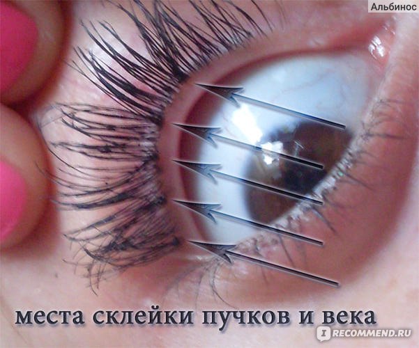 Avenir Cosmetics Eye Eyelash ...