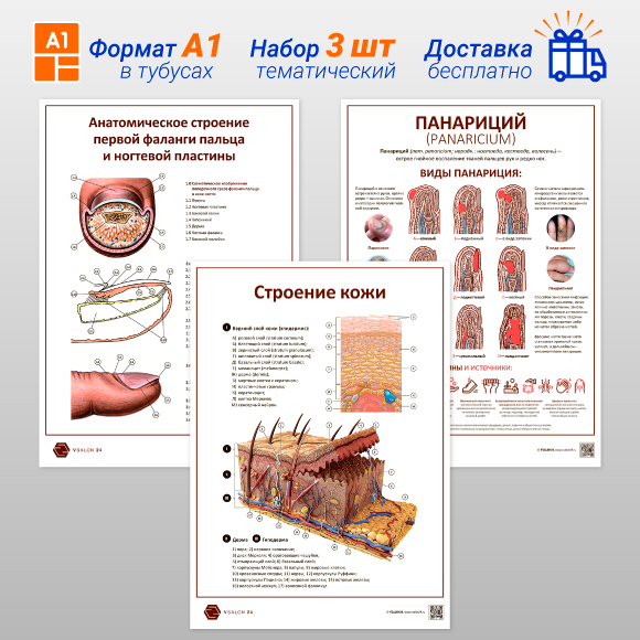 Базовый курс по маникюру 