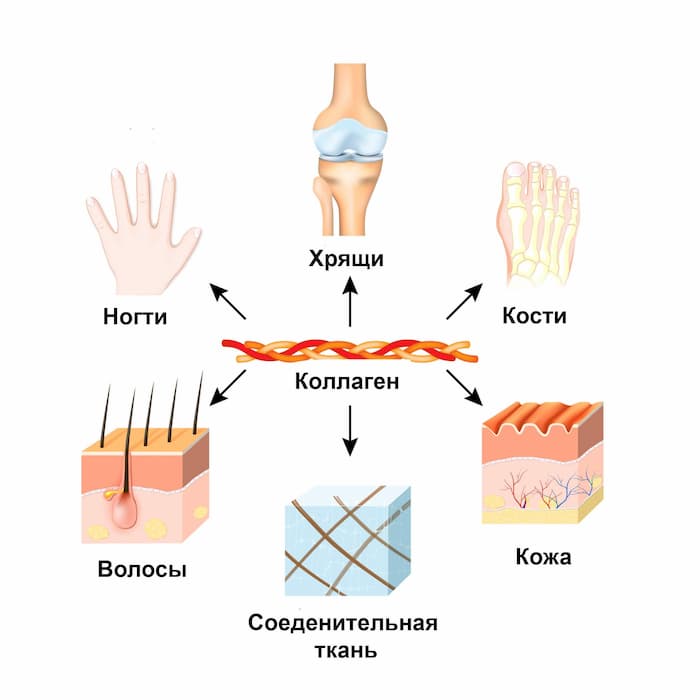 Живой коллаген Иркутск (@collagenlive38) • Instagram photos ...