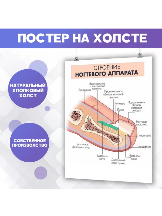 Теоретическая часть 1 - смотреть видео ...