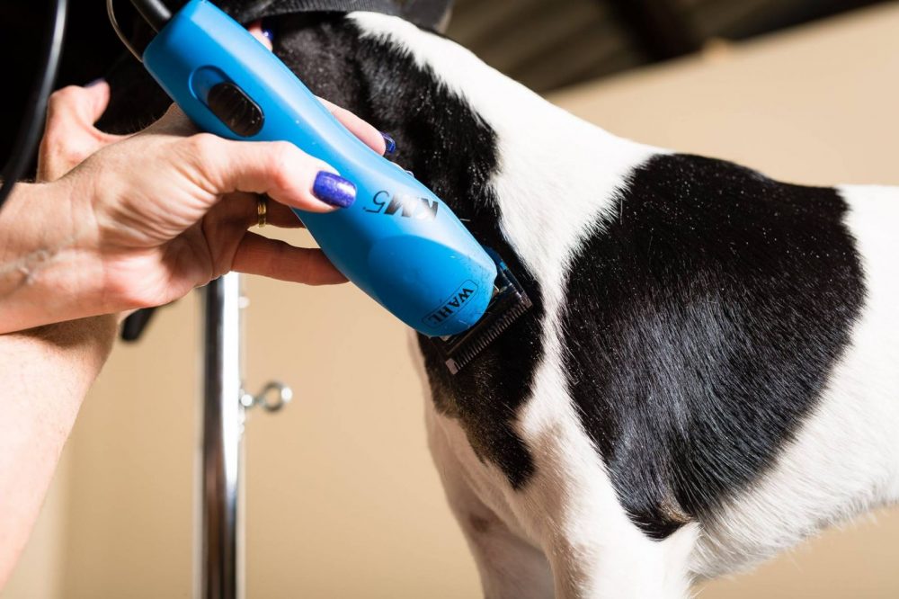 Wahl Super Groom ...