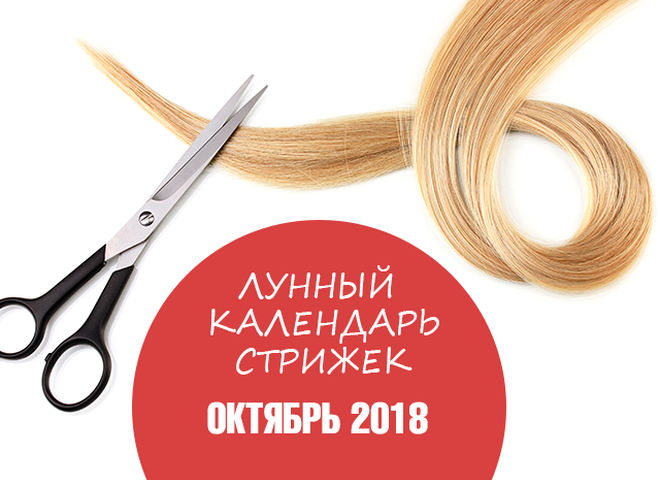 Лунный календарь стрижек на 2016 год для Киева - Елеонора ...