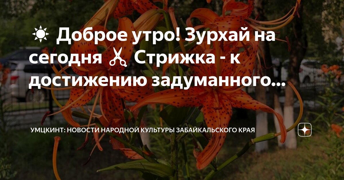 Зурхай на 28 апреля: Можно ли сегодня стричь волосы