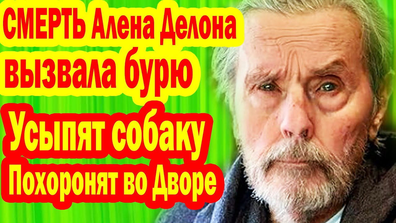 Актеры и актрисы и Бельмондо: истории ...