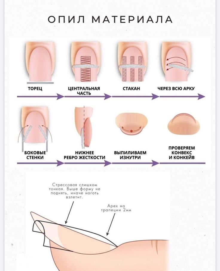 Структура ногтей в практике мастера ...