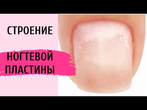 Базовый курс по маникюру для начинающих ...