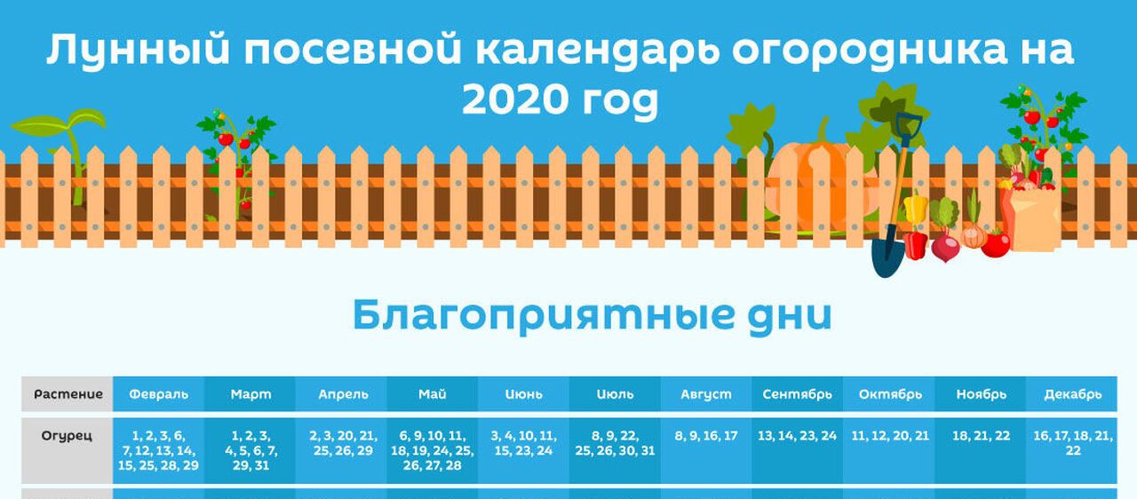 Лунный календарь стрижек на Октябрь 2023: когда лучше всего ...