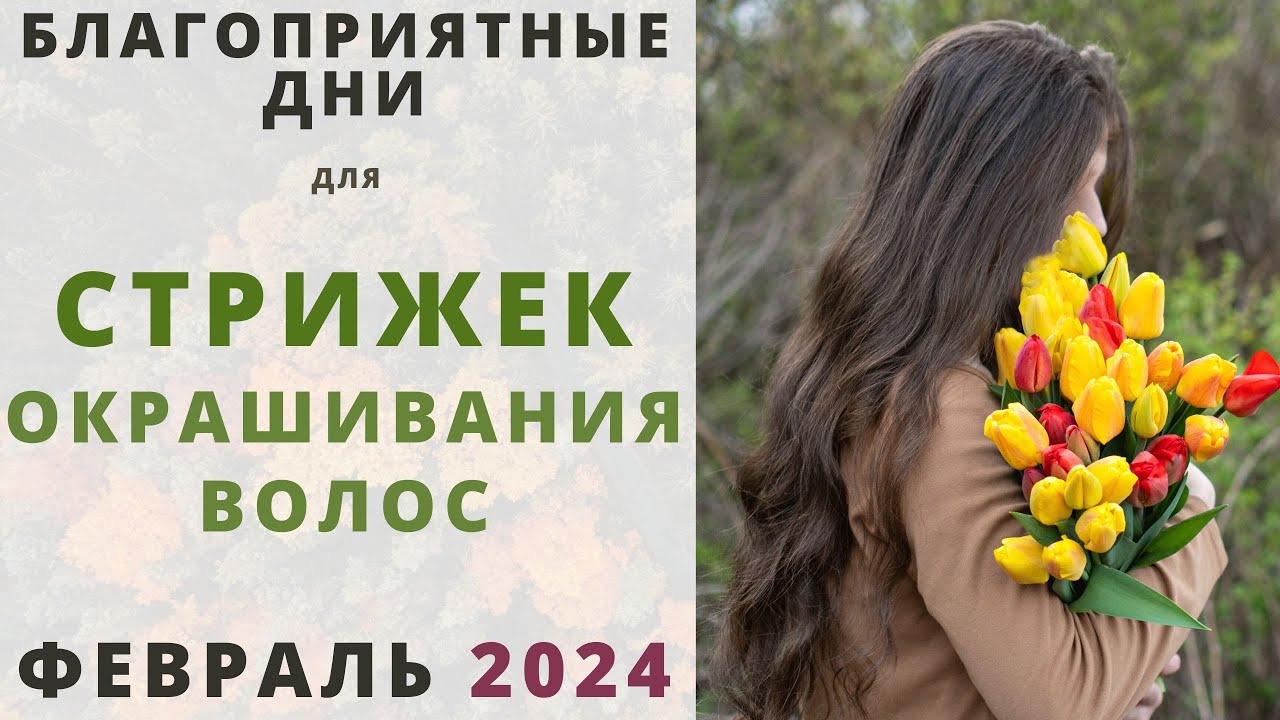 Календарь стрижек на октябрь 2024 ...