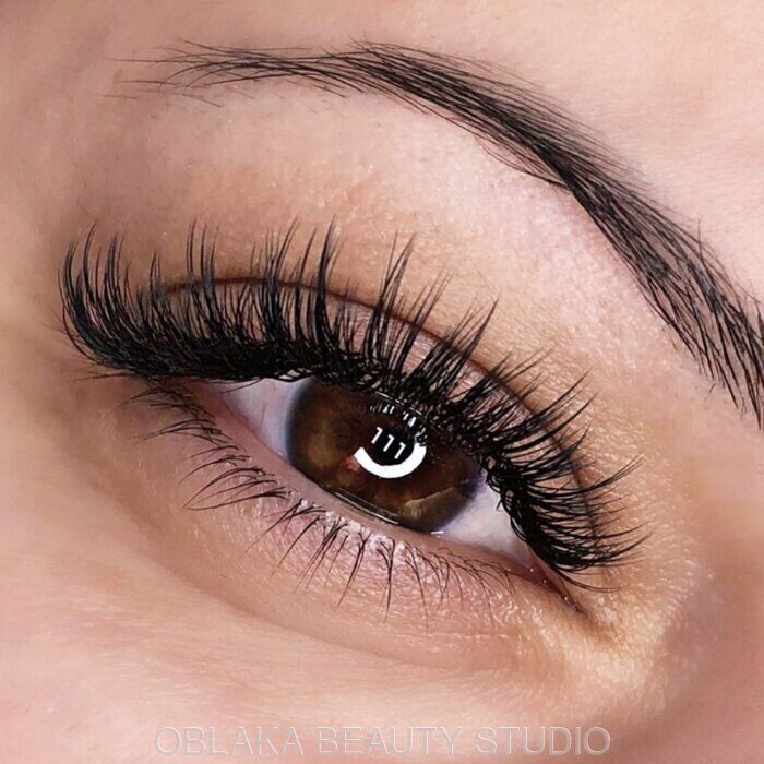 Ресницы пучковые Nesura Eyelash 10 мм, изгиб D: продажа, цена ...