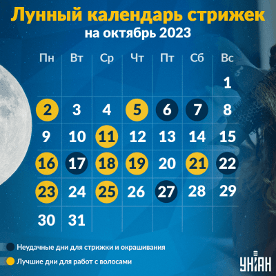 Календарь стрижек на весь 2019 год - благоприятные дни