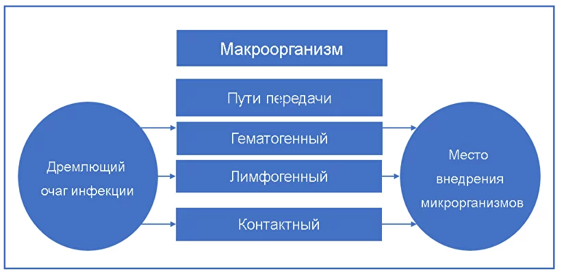 Термозащита для волос – как выбрать и пользоваться ...